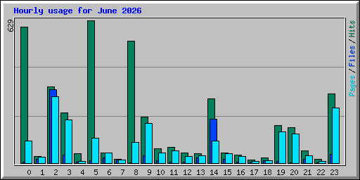 Hourly usage for June 2026