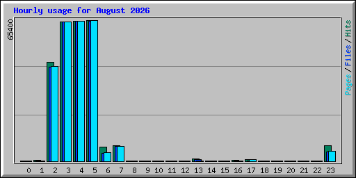 Hourly usage for August 2026